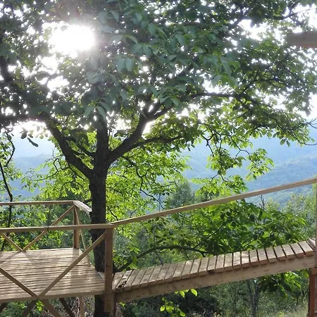 Tree Paulesti (Hunedoara)