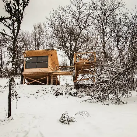 Tree Holiday home